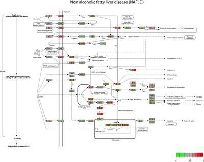 Analysis of Time-Series Gene Expression Data to Explore Mechanisms of Chemical-Induced Hepatic Steatosis Toxicity